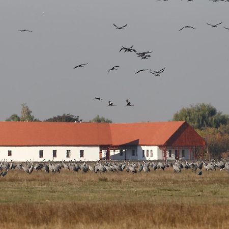 Bibic Nature Lodge Balmazújváros Dış mekan fotoğraf