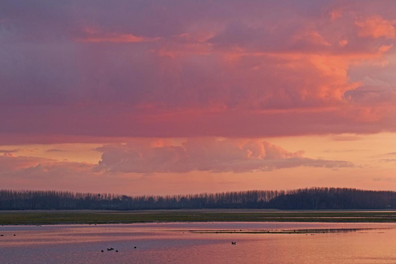Bibic Nature Lodge Balmazújváros Dış mekan fotoğraf